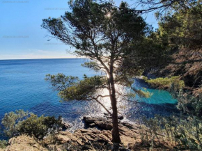 Grand studio mezzanine avec vue mer, parking et climatisation à deux pas de la calanque de la Cron - FR-1-100-319